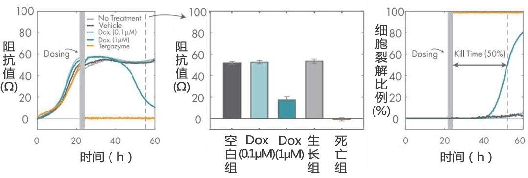 Maestro Z實(shí)時(shí)無標(biāo)記細(xì)胞分析儀 授權(quán)代理商 北京澤平