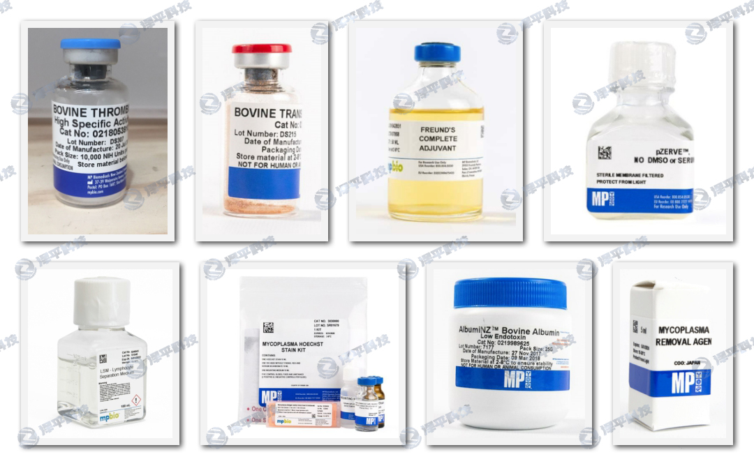 MP Biomedicalsһ(j) (x)B(yng)a(chn)Ʒ ƽ