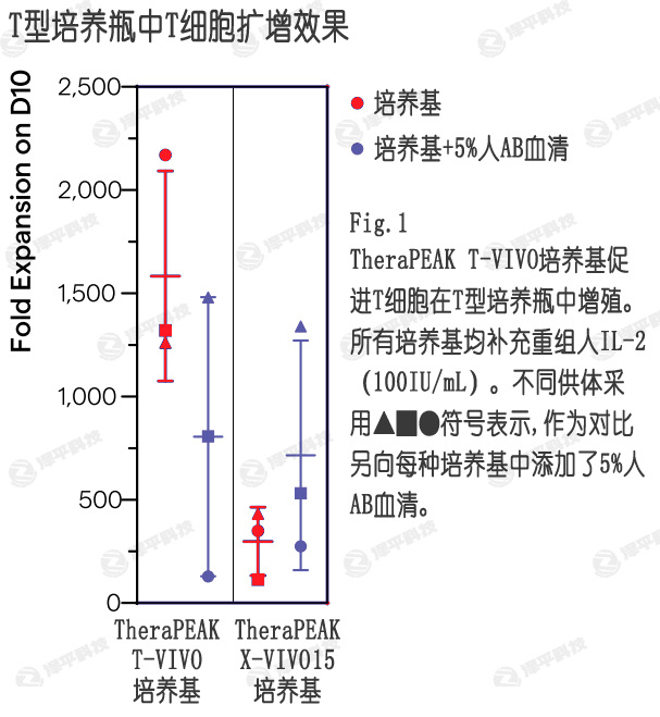 T-VIVO培養(yǎng)基在無血清條件下,提供更好的T細(xì)胞擴(kuò)增效果 北京澤平
