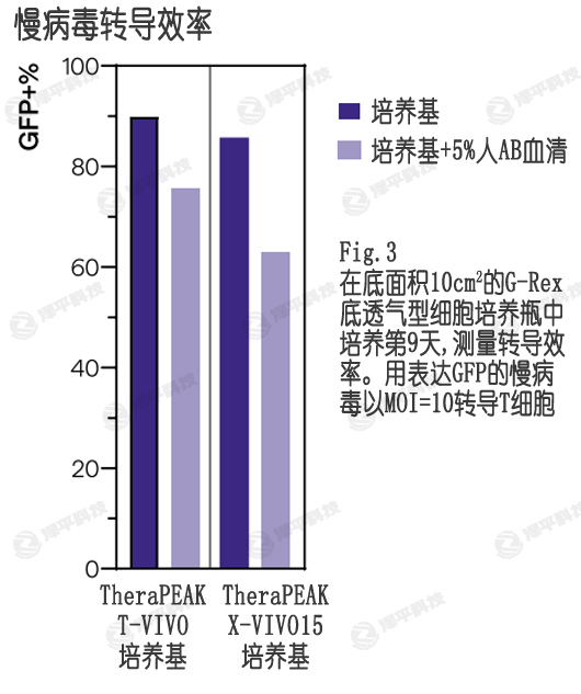 病毒轉(zhuǎn)導(dǎo),T-VIVO培養(yǎng)基提供更高的T細(xì)胞轉(zhuǎn)染效率 北京澤平