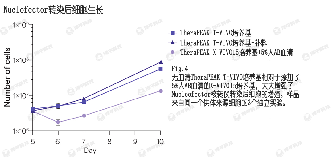 Nucleofecter電轉(zhuǎn)染,T-VIVO培養(yǎng)基提供更高的轉(zhuǎn)染后細(xì)胞增殖 北京澤平