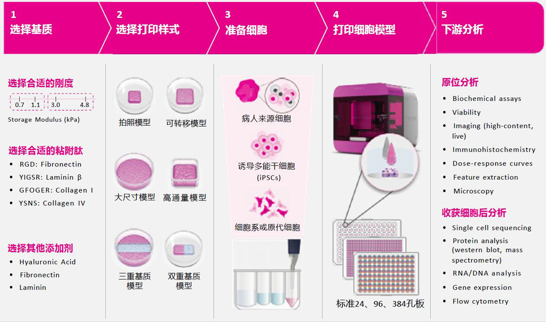 Inventia Rastrum細(xì)胞3D打印機(jī)工作流程 代理商北京澤平