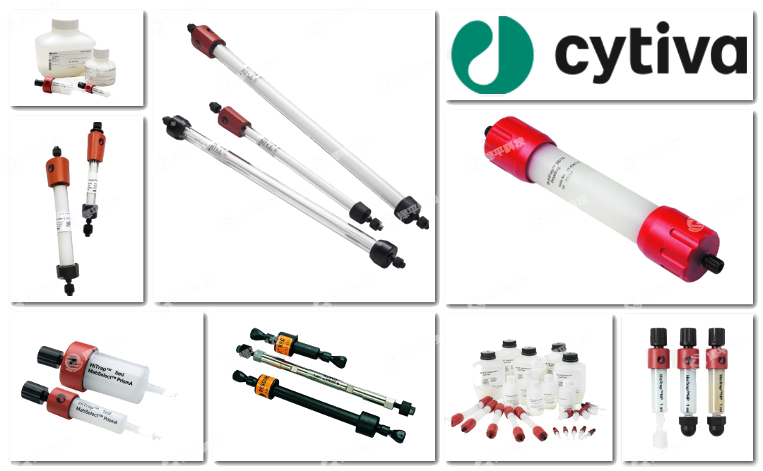 Cytivaϴ̱ƽ