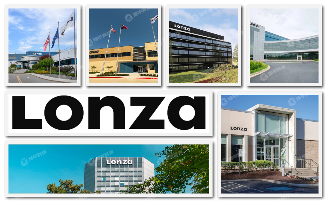 ɳLonzaٷڙ(qun)һ(j)̱ƽ