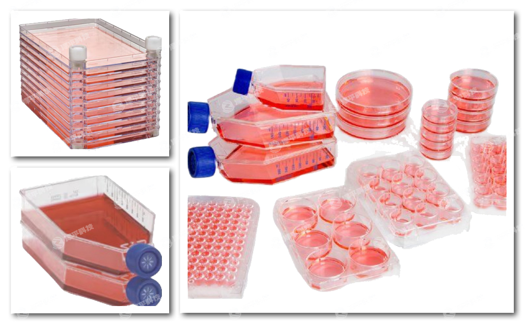 thermofisher Nunc(x)B(yng)塢EasYFlask͸w(x)B(yng)ƿʽ(x)B(yng)󡢼(x)S(x)B(yng)(x)εLabServB(yng)ƿ̱ƽ