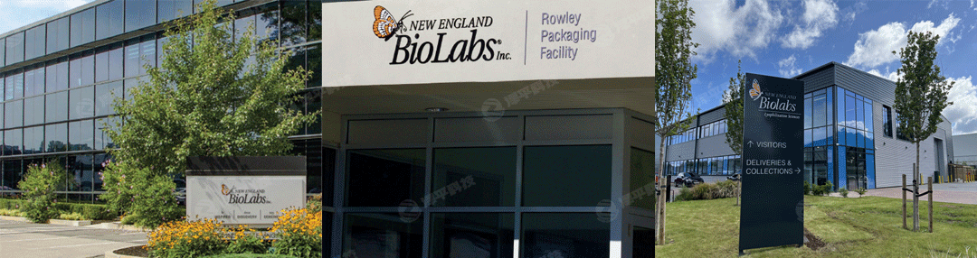 New England Biolabs, NEB官方授權(quán)一級代理商北京澤平