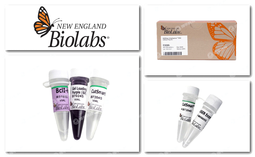 New England Biolabs, NEB官方授權(quán)一級代理商北京澤平